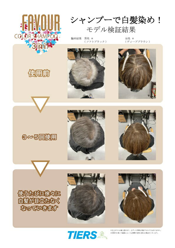 ティアーズ フェーバ カラーシャンプー ソフトブラック 240mL TIERS FAVOUR COLOR SHAMPOO サロン専売品 【NS】