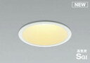 コイズミ照明 KOIZUMIダウンライト AD1010W27 パウダリーホワイト塗装 非調光 電球色 防雨 防湿型 LED一体型 ベースタイプ FHT42W相当 埋込穴Φ125mm