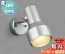 エクステリア 屋外 照明 ライトコイズミ照明 koizumi KOIZUMIスポットライト AU40627L シルバーメタリック デザイン 電球色 LED スポ...