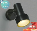 エクステリア 屋外 照明 ライトコイズミ照明 koizumi KOIZUMIスポットライト AU40626L 黒色 デザイン 電球色 LED スポットライト 玄...
