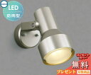 エクステリア 屋外 照明 ライトコイズミ照明 koizumi KOIZUMIスポットライト AU40628L ウォームシルバー デザイン 電球色 LED スポッ...