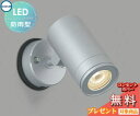 エクステリア 屋外 照明 ライトコイズミ照明 koizumi KOIZUMIスポットライト AU43659L JDR85W相当 中角 シルバーメタリック デザイ...
