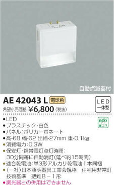 無料プレゼント対象商品!コイズミ照明 KOIZUMI 【保安灯ナイトライトAE42043L 白色自動点滅器付 停電時に携帯電灯(保安灯)としても使える】