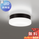 エクステリア 屋外 照明 ライトオーデリックODELIC ポーチライト OW269040ND 昼白色 FCL30W相当 黒色 LED 壁面・天井面・傾斜面取付専用 玄関灯 防雨・防湿型