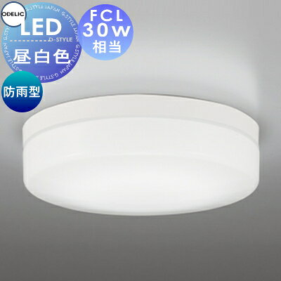 樂天商城 - エクステリア 屋外 照明 ライトオーデリックODELIC 軒下シーリング OW269034NR FCL30W相当 昼白色 白色 LED ポーチライト 玄関灯 門柱灯