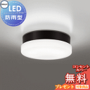 エクステリア 屋外 照明 ライトオーデリックODELIC ポーチライト OW269042ND 昼白色 FCL20W相当 黒色 LED 壁面・天井面・傾斜面取付専用 玄関灯 防雨・防湿型