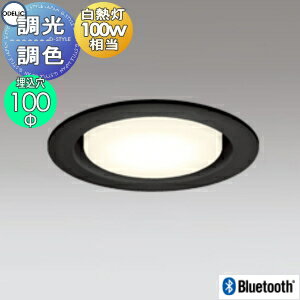 ǥå ODELICĴĴ 饤 OD361322BC ֥å ŵ忧 Bluetoothб Ǯ100W...