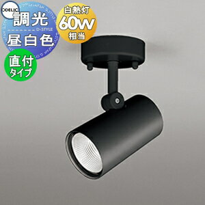 照明 おしゃれオーデリック ODELIC調光スポットライト OS256469R 昼白色 フランジタイプ ワイド配光 ブ..