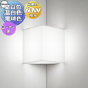 照明 おしゃれオーデリック ODELIC ブラケットライト OB255277NR 昼白色 OB255277WR 温白色 OB255277LR 電球色 低価格&コンパクトなベーシックライト コーナー灯・白熱灯60W相当