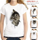 【お得な2枚セット！】【可愛い 3D 猫 Tシャツ 半袖 男女兼用】カジュアルでシンプルなデザイン性なので、部屋着から 通勤、通学などの外着にまで、幅広くご着用頂けます。 肌触りの良い薄手の綿素材を使用。 また、吸汗性と透湿性に優れており サラッとした着心地が得られます。 耐久性にも優れ、シワになりにくくなっております。 サイズ S M L XL 2XL 3XL サイズについての説明 ※上記サイズは平置き実寸になります。サイズ表の実寸法は商品によって1-3cm程度の誤差がある場合がございます。 素材 綿 色 色1(2枚) 色1(1枚)*色2(1枚) 色1(1枚)*色3(1枚) 色1(1枚)*色4(1枚) 色1(1枚)*色5(1枚) 色1(1枚)*色6(1枚) 備考 ●サイズ詳細等の測り方はスタッフ間で統一、徹底はしておりますが、実寸は商品によって若干の誤差(1cm〜3cm )がある場合がございますので、予めご了承ください。 ●商品の色は、撮影時の光や、お客様のモニターの色具合などにより、実際の商品と異なる場合がございます。あらかじめ、ご了承ください。 ●製品によっては、生地の特性上、洗濯時に縮む場合がございますので洗濯時はご注意下さいませ。 ▼色味の強い製品によっては他の衣類などに色移りする場合もございますので、速やかに（脱水、乾燥等）するようにお願いいたします。 ▼生地によっては摩擦や汗、雨などで濡れた時は、他の製品に移染する恐れがございますので、着用の際はご注意下さい。 ▼生地の特性上、やや匂いが強く感じられるものもございます。数日のご使用や陰干しなどで気になる匂いはほとんど感じられなくなります。