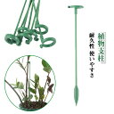 園芸支柱 花支え 10本セット 植物支柱 フラワースタンド つる性植物 観葉支柱 花ささえ 誘引 植物サポート フラワー支柱 ガーデニング 農業用 園芸用 胡蝶...