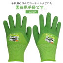 園芸手袋 キッズ用 子供用 ガーデングローブ 男の子 女の子 ゴム手袋 芋掘り 遠足 校外学習 4-8才 低学年用 作業手袋 ガーデン用 園芸用 トゲ防止 刺傷...