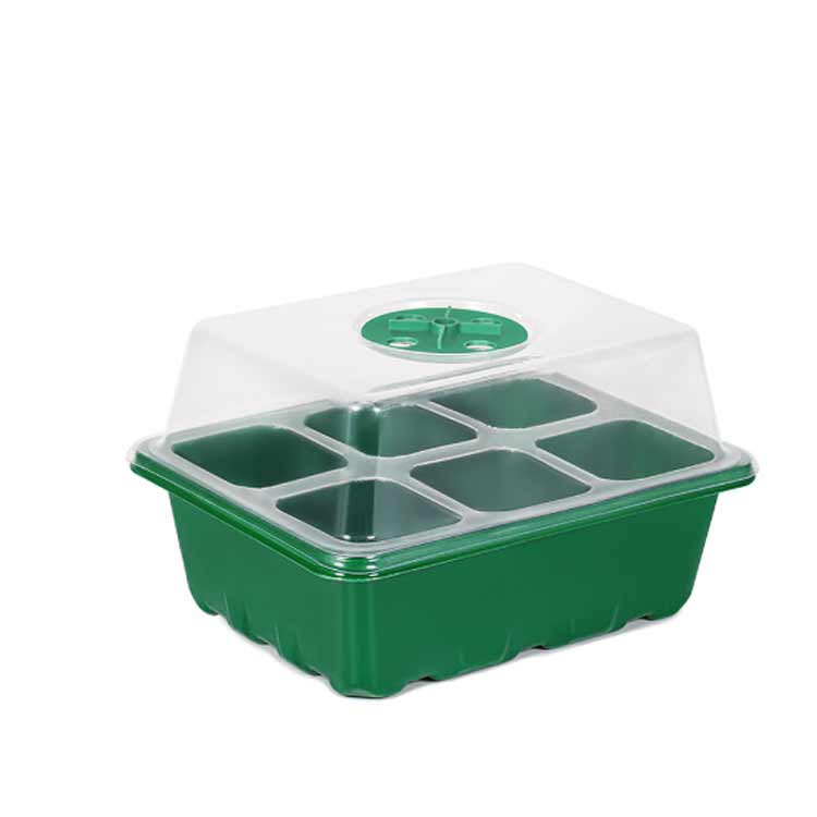 ���ĥݥå� 5�ĥ��å� ����Ȣ 6�� 12�� ��ҥȥ쥤 ȯ�� ��ޤ��ϥ��� ��Ȣ ��ޤ��� ���ĥܥå��� Ʃ�����С� �̵��� ��ں��� ¿����ʪ �����ڱ� ����� �����ǥ˥� ����̵��