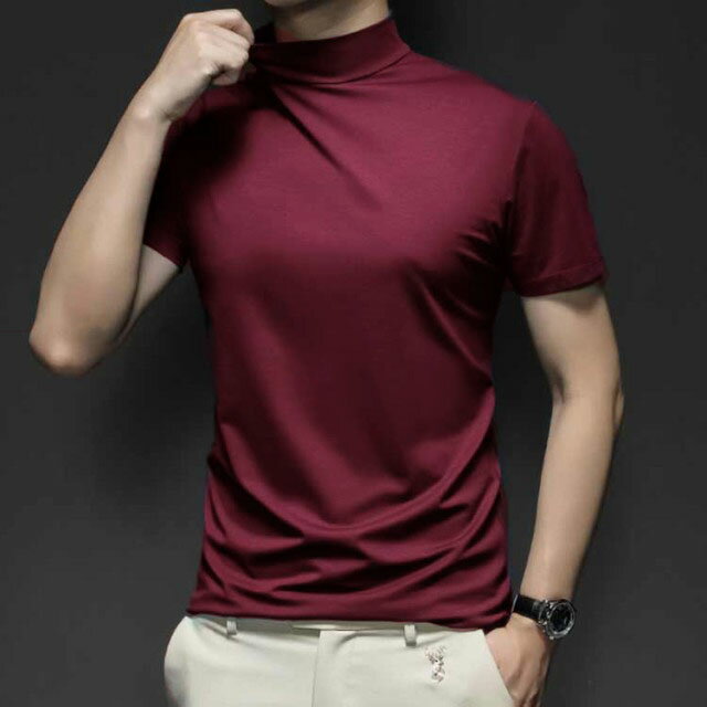 2枚セット ハイネック 半袖 メンズ Tシャツ...の紹介画像2