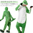 コスプレ 着ぐるみ パジャマ 仮装 蛇 子供用 大人用 スネーク ルームウェア 2025年 干支 巳年 年賀状 可愛い 動物 仮装 部屋着 コスチューム もふもふ 暖かい 防寒対策 寝巻き フランネル 男女兼用 クリスマス 送料無料