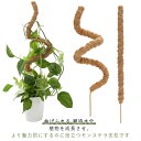 植物支柱 おしゃれ ヘゴ棒 観葉植物 モンステラ スティック ココスティック 園芸用 ガーデニング 植物サポート 維持水分 養分維持 植物支え 曲げられる トマ...