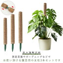 ココスティック モンステラ支柱 3本セット 植物支柱 ポトス 高さ調整可能 園芸支柱 花ささえ 連結可能 ココナッツ支柱 ガーデニング用 観葉支柱 植物サポート...