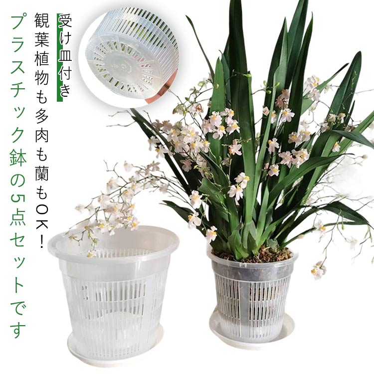 プランター 植木鉢 プラスチック スリット鉢 観葉植物 多肉植物 透明感 鉢植え 穴付き オーキッドポット 受け皿付き 胡蝶蘭鉢 育苗ポット 園芸用品 5点セット 家庭用 送料無料