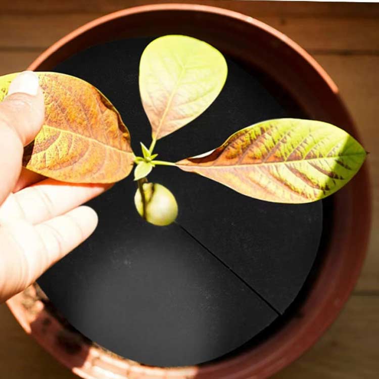 防草シート 10枚組 除草シート 不織布 植木鉢 穴あり 円形 園芸用シート 防草 雑草...