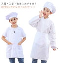給食エプロン 2点/3点セット 前開き 長袖 割烹着 半袖 女の子 男の子 前ボタン ポケット付き 給食着 給食帽 給食白衣 子ども 子供用 学校給食 小学校 ...