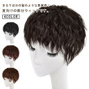 部分ウィッグ 頭頂部 ウィッグ トップカバー ウェーブ ヘアピース ポイントウィッグ かつら エクステ 自然 ナチュラル つむじ付き 4カラー クリップ式 レデ...