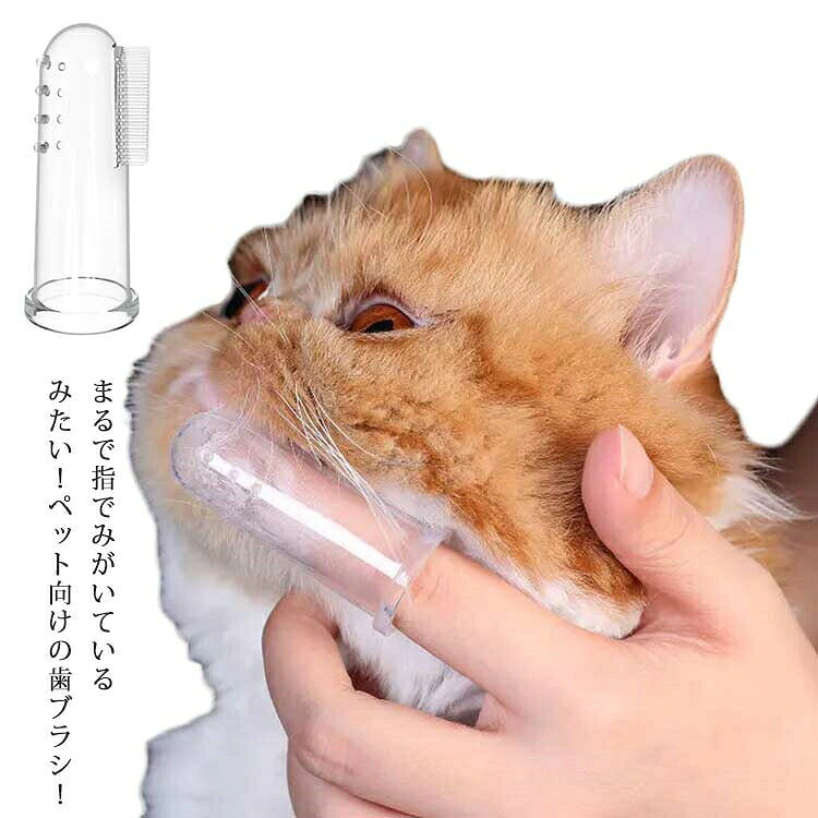 【送料無料】イヌ ネコ 犬 歯ぶらし 歯ブラシ ペット用 大型犬 中型犬 小型犬 指ブラシ 猫用歯ブラシ 歯石 犬用歯ブラシ 歯磨き 猫 歯みがき