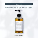 ＼限定セール／【正規品】アメリオレイト シャンプー シトラス SHAMPOO CITRUS 500ml ameriorate 美容室専売 トリートメント 詰替え 詰替 ボトル サロン 業務用 美容液 成分 保湿 乾燥 摩擦 寝ぐせ ダメージ 送料無料当日配送