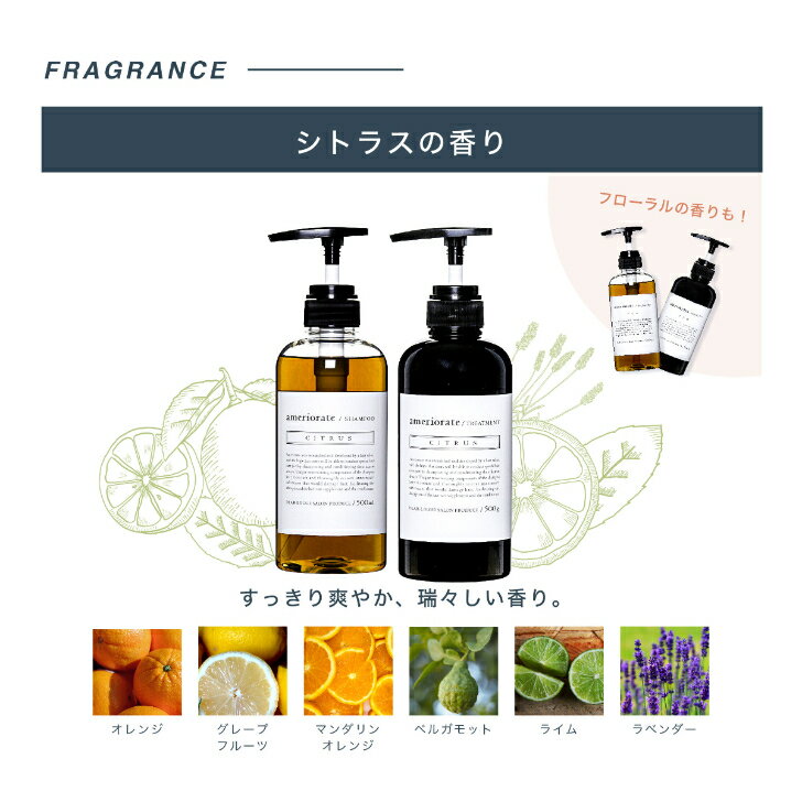 【業務用】アメリオレイト シャンプー トリートメント シトラス 詰め替え ameriorate 美容室専売 シャンプーセット 美容院シャンプー サロン専売品 敏感肌 ダメージケア サロンシャンプー