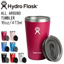 nChtXN Hydro Flask 16oz 473ml Drinkware All Around Tumbler XeX^u[ Snapper