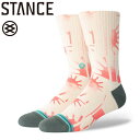 X^X Stance Y CfBAg f \bNX C Raydiant Model Crew Socks