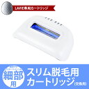 【細部用】LAVIE(ラヴィ)専...