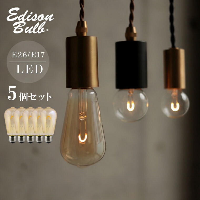 【5個セット】エジソン バルブ LED 電球 シングル 一本線 エジソンバルブLED 電球色 ガラス電球 エジソン電球 複数セ…