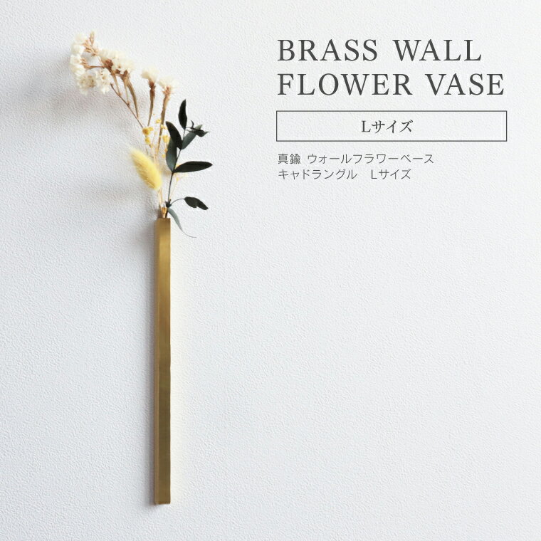 BRASS ウォールフラワーベース キャドラングル L ブラス 真鍮 一輪挿し フラワーベース 花瓶 花器 フラワーポット 壁掛け 花 観葉植物 ドライフラワー 北欧 ナチュラルインテリア モダン レトロ アンティーク 玄関 廊下 トイレ 洗面所 壁面インテリア スリム おしゃれ 上品のサムネイル