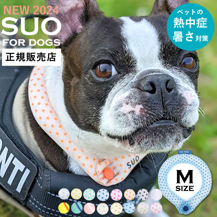 suodog003 1