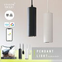 【単品】エジソンスマート ペンダントライト ダクトレール用 ライティングレール用 円筒 筒型 LED一体型 照明器具 調光 調色 アプリ アレクサ グーグルホー...
