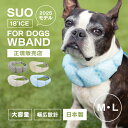【配達日指定対応】【正規販売店】2025モデル 犬 クールネック SUO for dogs 18℃ WBAND 小型犬 中型犬 熱中症対策 クールリング 日本製...