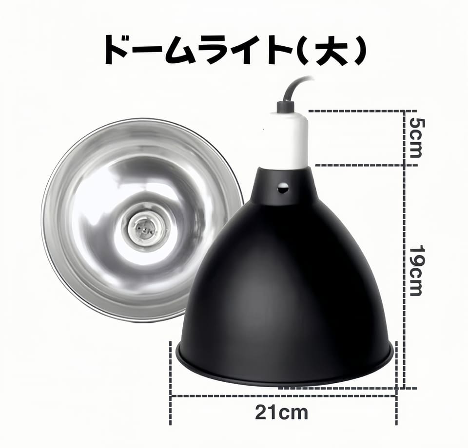 爬虫類 両生類 ドームライト（大） リクガメ ヤモリトカゲ レオパード ヤドカリトカゲ カメ カエル ハムスター ヘビ