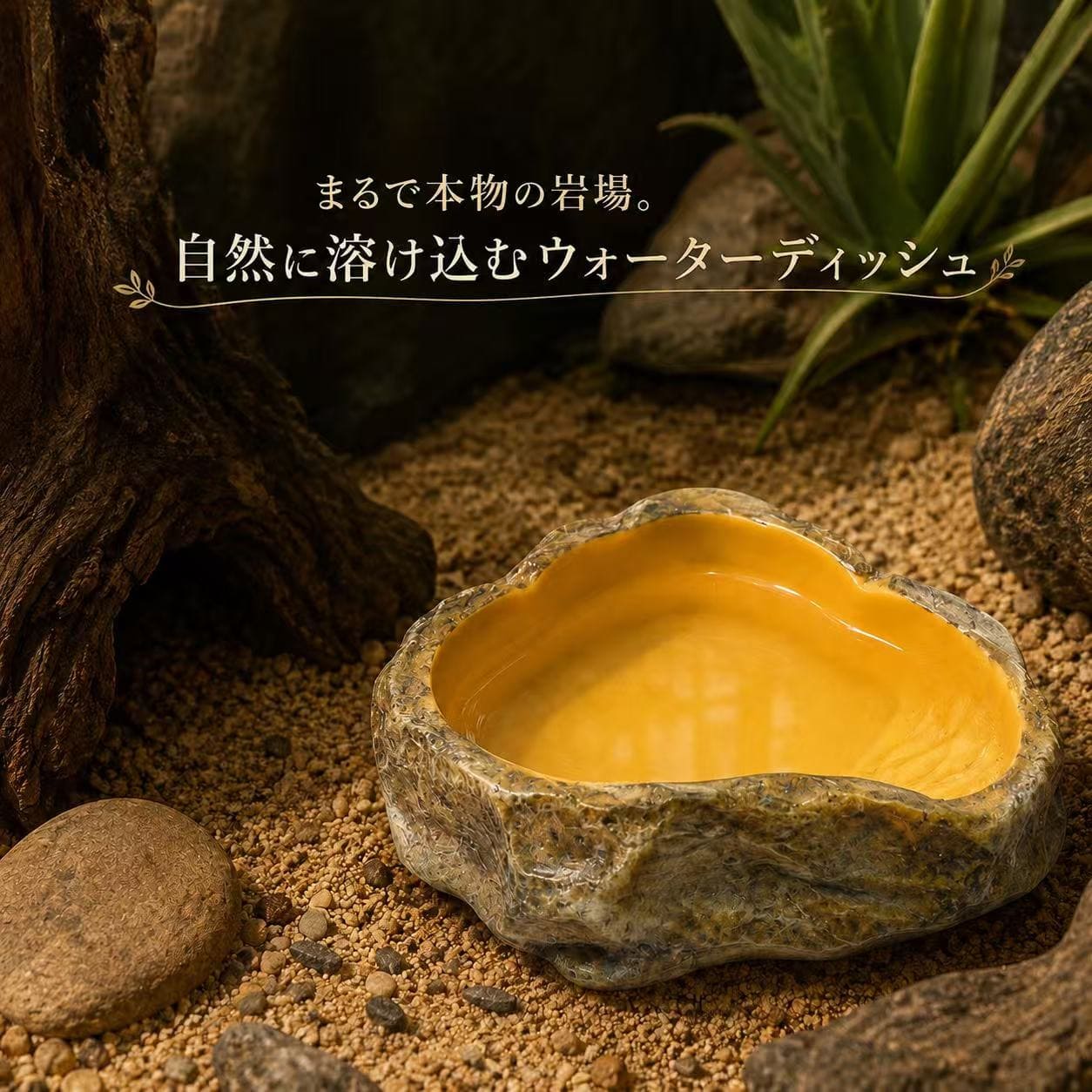 乐天商城 - 爬虫類用品ウォーターディッシュM 水入れ 給水皿 えさ皿 小型 天然岩石風 樹脂製 飼育 両生類 ヤモリ ヘビ リクガメ