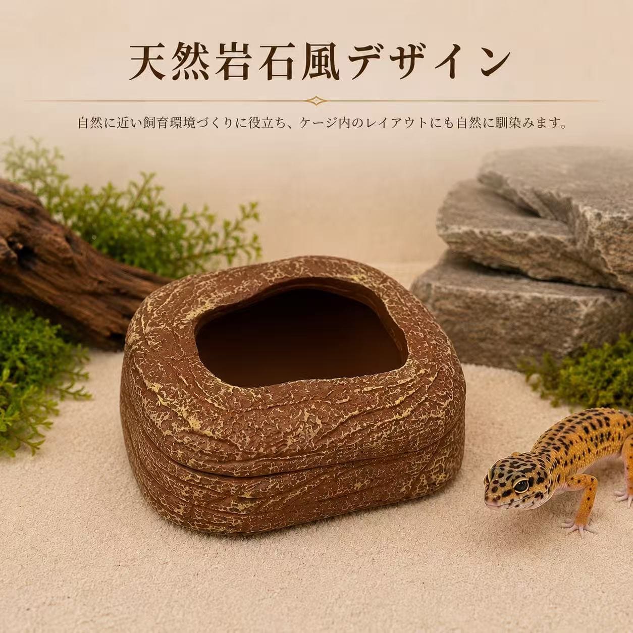 爬虫類用ウォーターディッシュ　爬虫類　両生類　水入れ　水浴　食器　樹脂　岩石　レイアウト　ケージ用　ヤモリ　トカゲ　飼育　磁石式