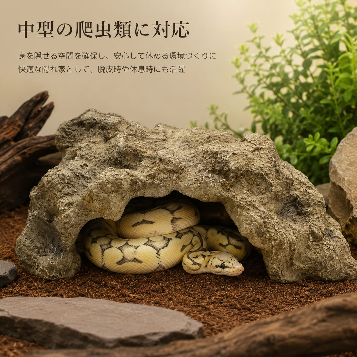 商品情報商品名爬虫類シェルター　 岩石 ヤモリ ヘビ カエル 両生類 樹脂 飼育 寝床 脱皮 隠れ家（Lサイズ）サイズ長さ：26.5cm　幅：18.5cm　高さ：13cm素材樹脂商品説明「リアルな岩場デザイン」本物の岩のような質感を再現した軽量な樹脂製シェルターです。「中型の爬虫類に対応」中型の爬虫類に適したサイズ設計で、快適な隠れ家としてご使用いただけます「落ち着ける隠れ家」身を隠せる空間を確保し、生体が安心して休める環境づくりに役立ちます「自然なレイアウトに」岩石調の質感が飼育ケージになじみ、見た目にも美しいレイアウトを楽しめます。ご注意ご購入前に必ず商品のサイズをご確認ください。製造工程上、色味や質感、サイズには若干の個体差が生じる場合があります。爬虫類シェルター 岩石 ヤモリ ヘビ カエル 両生類 樹脂 飼育 寝床 脱皮 隠れ家（Lサイズ 天然岩石をイメージしたデザインで、自然に近い飼育環境づくりに役立ちます 5