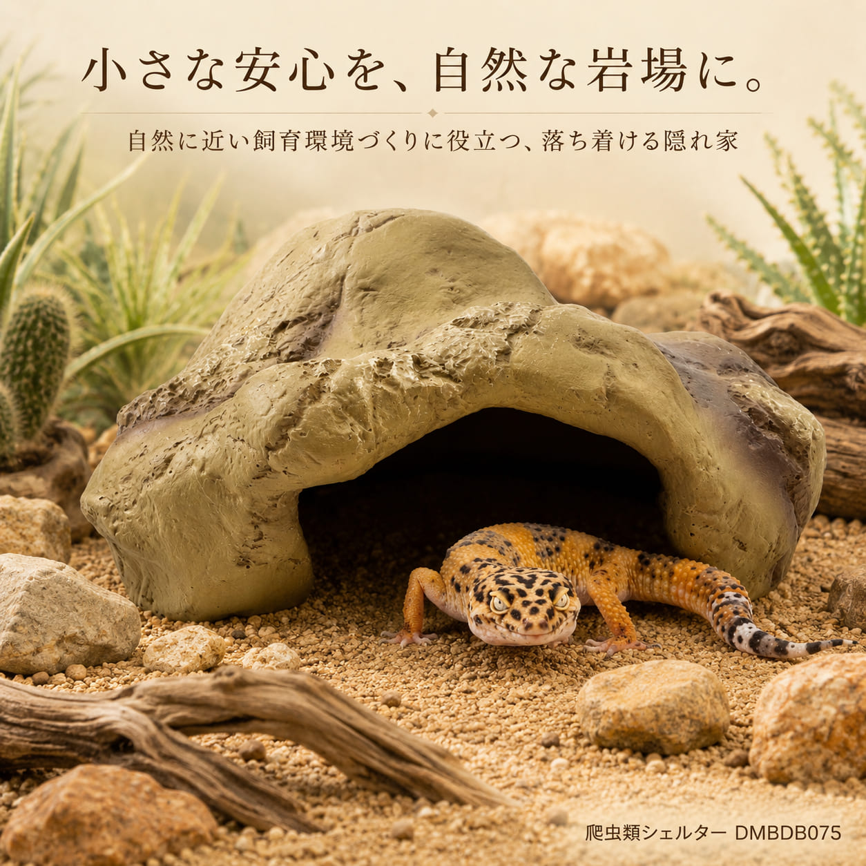 楽天市場】スチールラック（爬虫類・両生類｜ペット・ペットグッズ）の通販