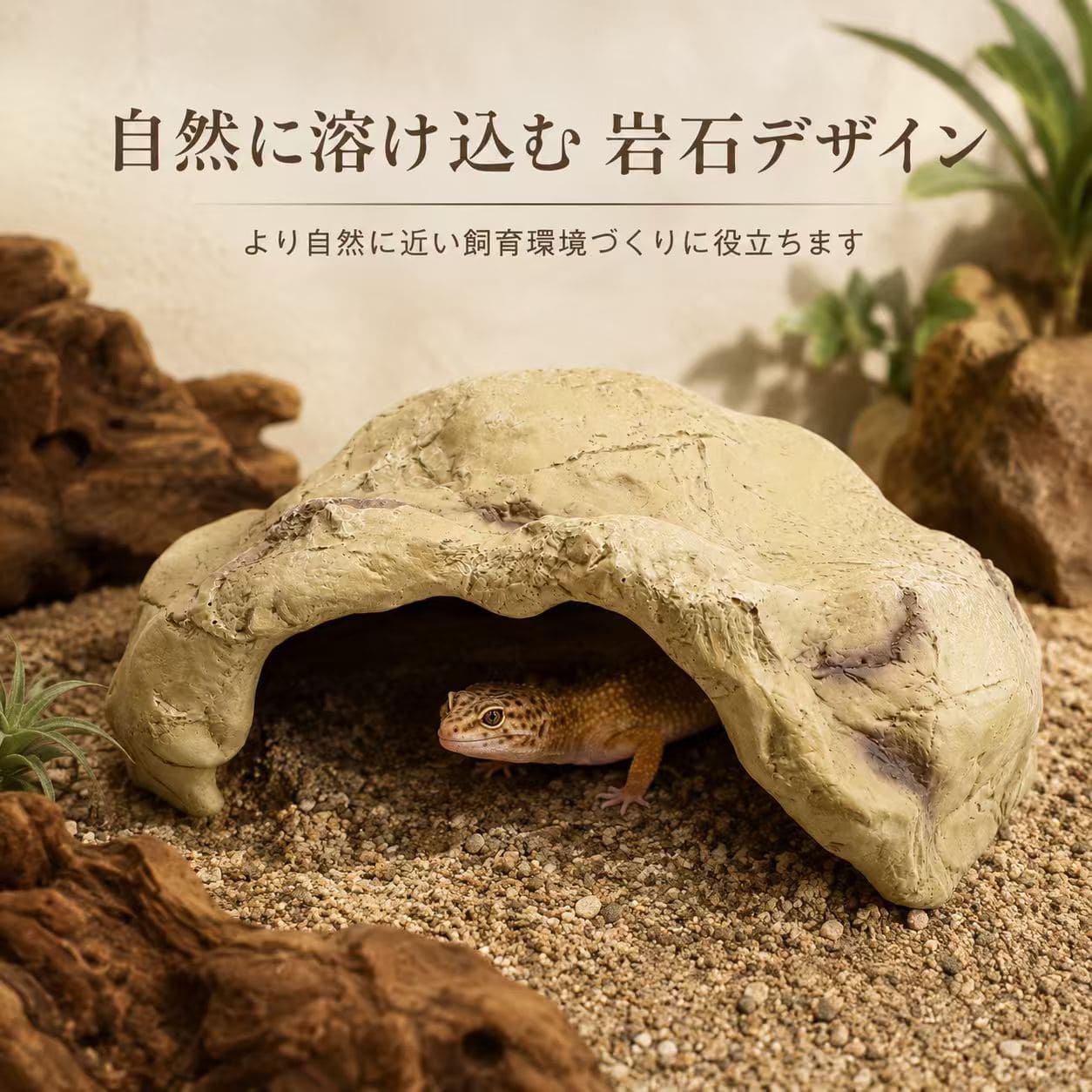 ❗️値下げしました❗️木製収納棚 中型 爬虫類用 楽天市場】収納棚（爬虫類・両生類｜ペット・ペットグッズ）の通販