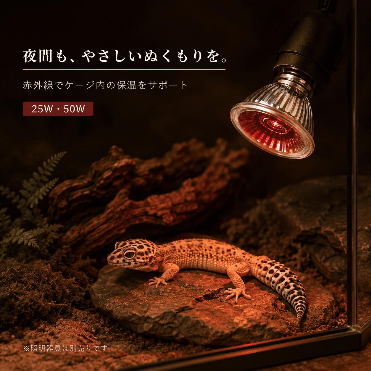 爬虫類 赤外線ランプ（25W 50W ）保温ライト ヒートランプ 保温電球 レプタイル 赤外線 保温 UVB テラリウム フトアゴヒゲトカゲ ヒョウモントカゲモドキ リクガメ カメ ヘビ ハリネズミ DMBDYD2550
