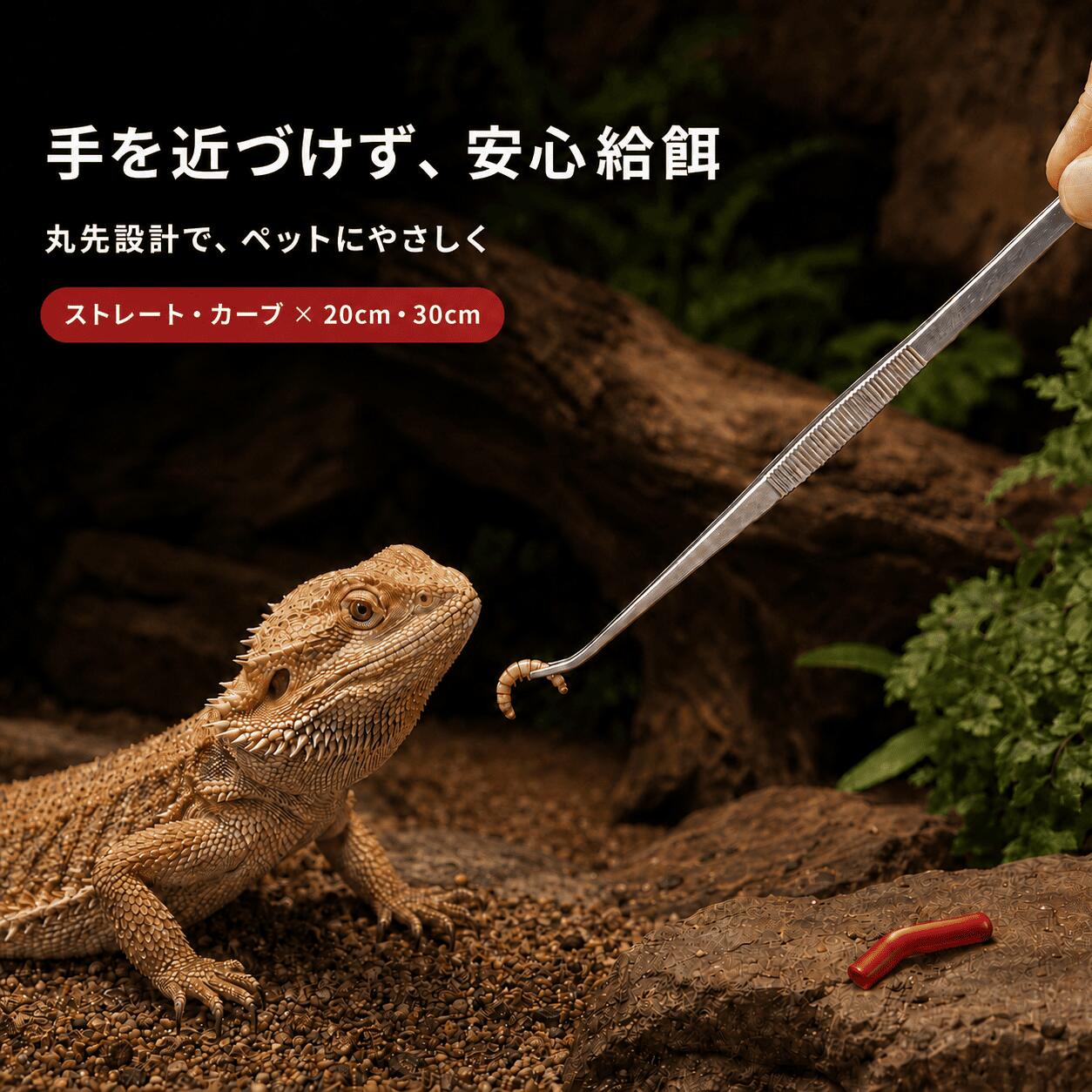 商品情報商品名爬虫類 給餌ピンセット ステンレス製 シリコンキャップ付き 丸先 安全設計 ストレート カーブ 20cm 30cm 給餌 トカゲ ヘビ ヤモリ カメ 昆虫 両生類サイズストレート ：20cmストレート： 30cmカーブ ：20cmカーブ ：30cm商品説明（高品質ステンレス製）耐久性と耐食性に優れたステンレス素材を採用。サビにくく、お手入れもしやすいため、長期間清潔にご使用いただけます。（丸先設計でペットにやさしい）先端は丸みのある安全設計。給餌時にペットの口や体を傷つけにくく、安心して使用できます。（シリコン保護キャップ付き）収納時や持ち運び時に先端を保護するシリコンキャップ付き。ケガ防止だけでなく、先端の変形も防ぎます。（選べる4タイプ）ストレート・カーブの2種類の形状、20cm・30cmの2サイズをご用意。飼育環境や用途に合わせてお選びいただけます。（さまざまな生体に対応）フトアゴヒゲトカゲ、ヒョウモントカゲモドキ、ヘビ、イグアナ、カメ、カエル、ヤモリ、カメレオン、昆虫、タランチュラなど、幅広い爬虫類・両生類・昆虫の給餌に適しています。ご注意ご使用前に製品に破損や変形がないかご確認ください。使用後は水洗いし、水分を十分に拭き取って保管してください。強い力で無理に曲げたり落下させたりすると、変形や破損の原因となります。シリコンキャップは使用前に取り外してください。お子様の手の届かない場所で保管してください。本来の用途以外には使用しないでください。爬虫類 給餌ピンセット ステンレス製 シリコンキャップ付き 丸先 安全設計 ストレート カーブ 20cm 30cm 給餌 トカゲ ヘビ ヤモリ カメ 昆虫 両生類 やさしくつかんで、安心給餌 5