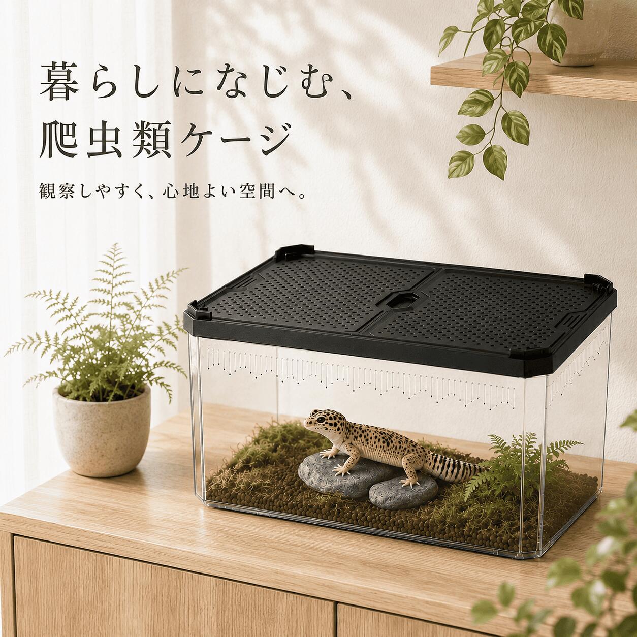 楽天市場】爬虫類 ケージ ラック（爬虫類・両生類｜ペット・ペット