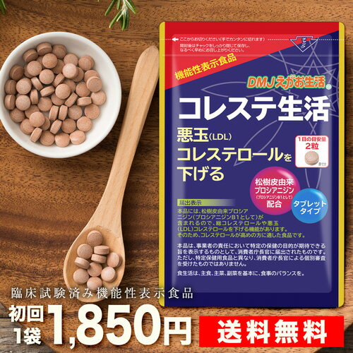 【特定保健用食品】伊藤園 お～いお茶 カテキン緑茶 PET 500ml24本*2ケース 【送料無料】 特保 トクホ コレステロール ガレート型