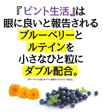 ブルーベリー サプリ ルテイン アントシアニン サプリメント 北欧産ビルベリー厳選 ピント調節機能の低下を緩和 眼の疲労感 光の刺激から眼を守る ピント生活ブルーベリー&ルテイン 1か月分 送料無料 DMJえがお生活