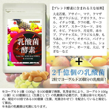 【送料無料】乳酸菌酵素 DMJえがお生活 31日分 日本製 | 乳酸菌サプリ サプリメント 酵素サプリメント 乳酸菌サプリ 酵素サプリ ビフィズス菌 腸活サプリ 善玉菌 乳酸菌タブレット ダイエット サプリ 乳酸菌ダイエット 善玉菌ダイエット 健康食品 健康サプリ