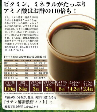 酵素 サプリメント 酵素サプリ ラテン酵素濃密ソフト 62粒入 約1か月分 送料無料 DMJえがお生活[酵素ダイエット 酵素 ダイエット サプリ ダイエットサプリ 酵素ドリンク]