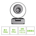 DMM.make リングライト付きWebカメラ DKS-CAM3G 1080p FHD 60fps 3光色調整 明るさ無段階調整 USB接続 内蔵マイク 自動露出調整 角度調節 プライバシーカバー付き 在宅勤務 テレワーク ベストバイ1位獲得